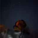 alma9