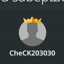check2911