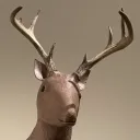 zzzaaaccc