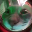 x_z3t4_x avatar