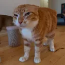 sososilka