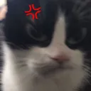 hltgerardo