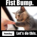 avatar Fist bump. Sunday Let’s do this.