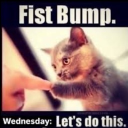 avatar Fistbump.Wednesday Let’s do this