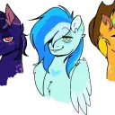 koxufoxu