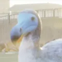 fleurbird