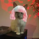 lilskyn