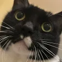 blurrytheskull