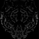 umbra0556