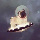 piggyjingles