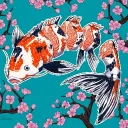 send_koi