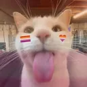 aceyisbean