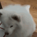 zerodrama
