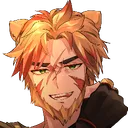 drcat500