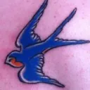 bluebird0055