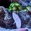christinna