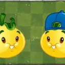 tomatesolar5499