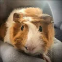 LoLKeKIThink's Avatar