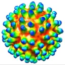 jcmota0