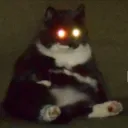 dirtyburrito avatar