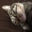 poopinsoup9418