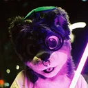 mocharacc