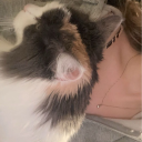 snaxies#4802's avatar