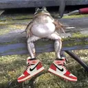 sapo_oner