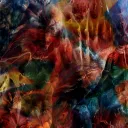 vision_thing_achasse