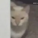 kato.gg