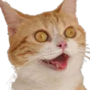 zaptorzap