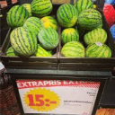 avatar Extrapris vatten melon vicke