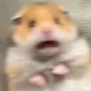 Аватар ultrahomka