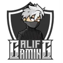 alifgaming007