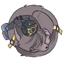 gogopeter