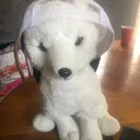 jacobymatt