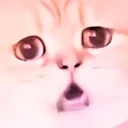 yoshi_17