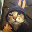 zzhooded