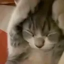 fiyu
