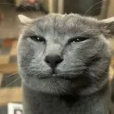 osnadurtha