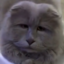 avatar Seal_The_Unknown