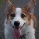 itsonlywilliam avatar