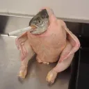 leeeeeeeeeeeeeeeeeeeeeeeeeeeeigh