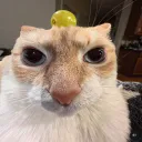 thatguyzanyt