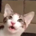 avatar 𝔇𝔯𝔞𝔞𝔭𝔢𝔵