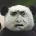 panda062887