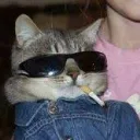 hehecodecat