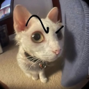 Naze_Jinsei