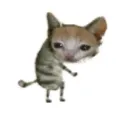 oneflower.at.a.time