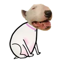 waterycereal